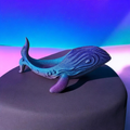 Galaxy whale